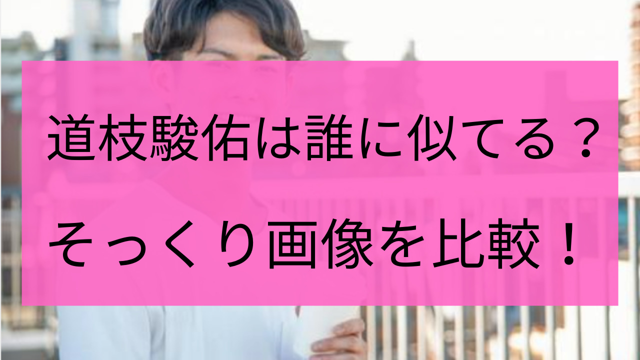 道枝駿佑に似てる有名人９選！