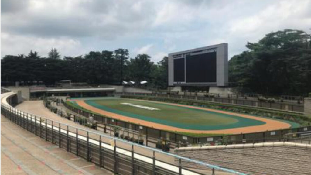 気性難　レース不向き