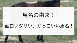 競走馬は名前が面白い 変なダサい馬名orかっこいい名前と由来