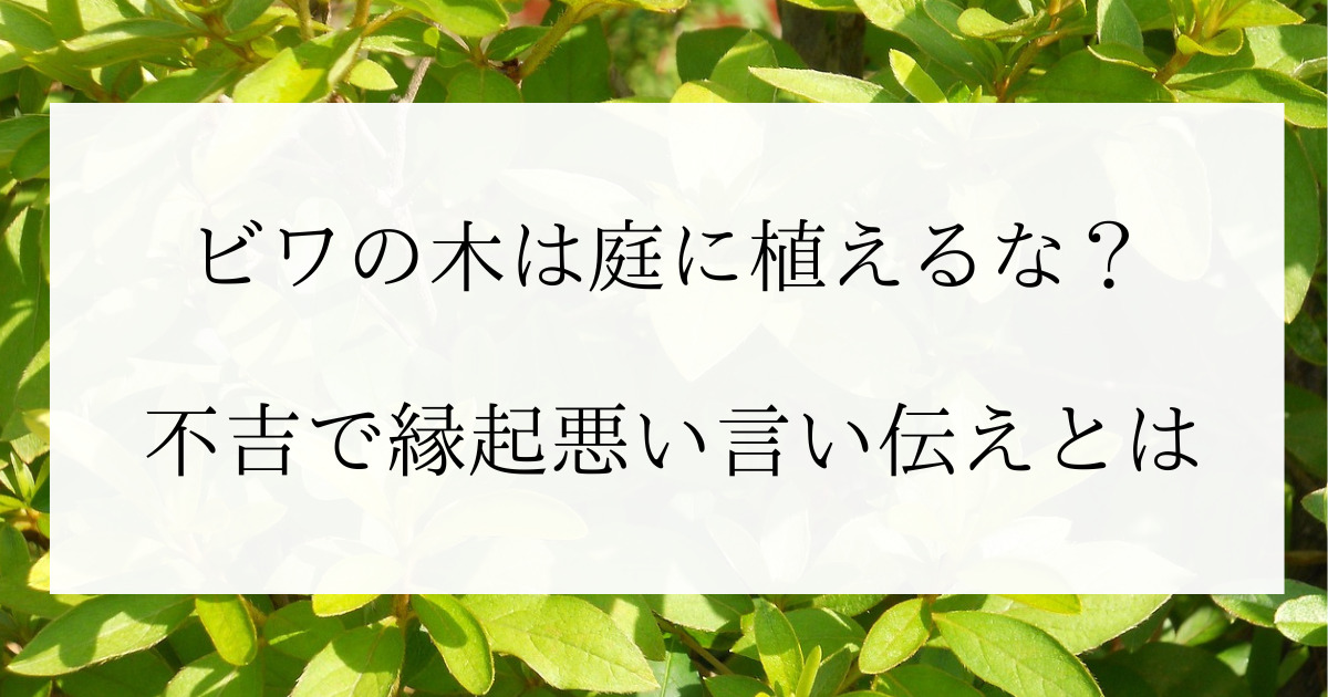 ビワの木は庭に植えるな